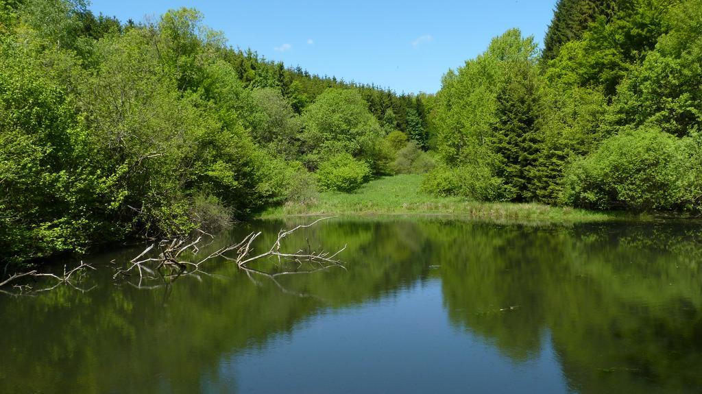 Landidyll Landhaus Liesetal Халенберг Екстериор снимка