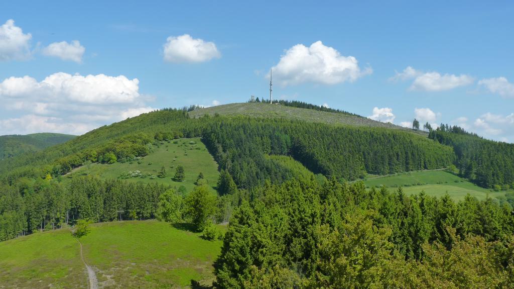 Landidyll Landhaus Liesetal Халенберг Екстериор снимка