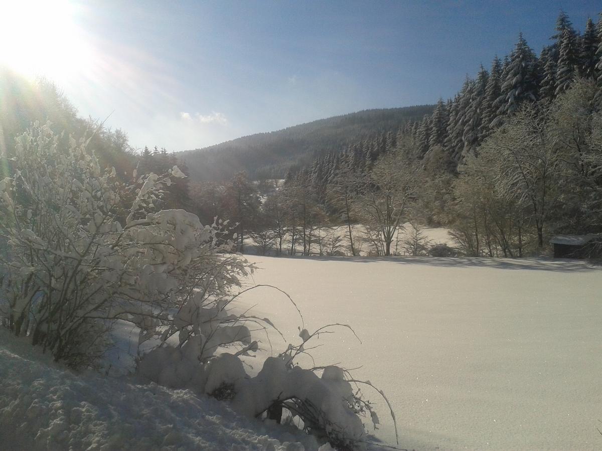 Landidyll Landhaus Liesetal Халенберг Екстериор снимка
